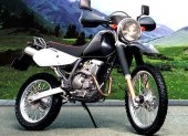 2008 Suzuki Djebel 250XC photo